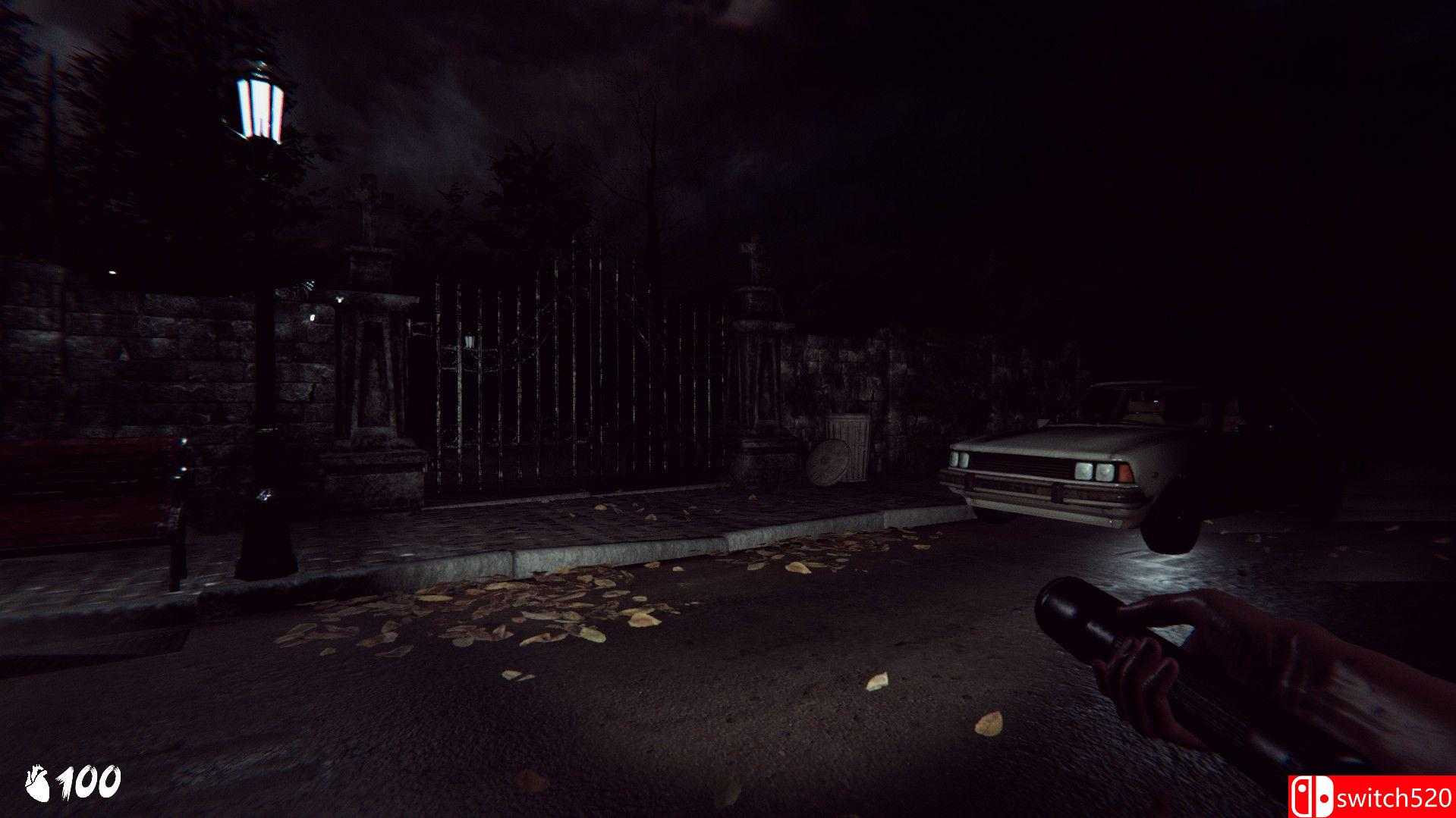 《幽灵之血》游戏截图1