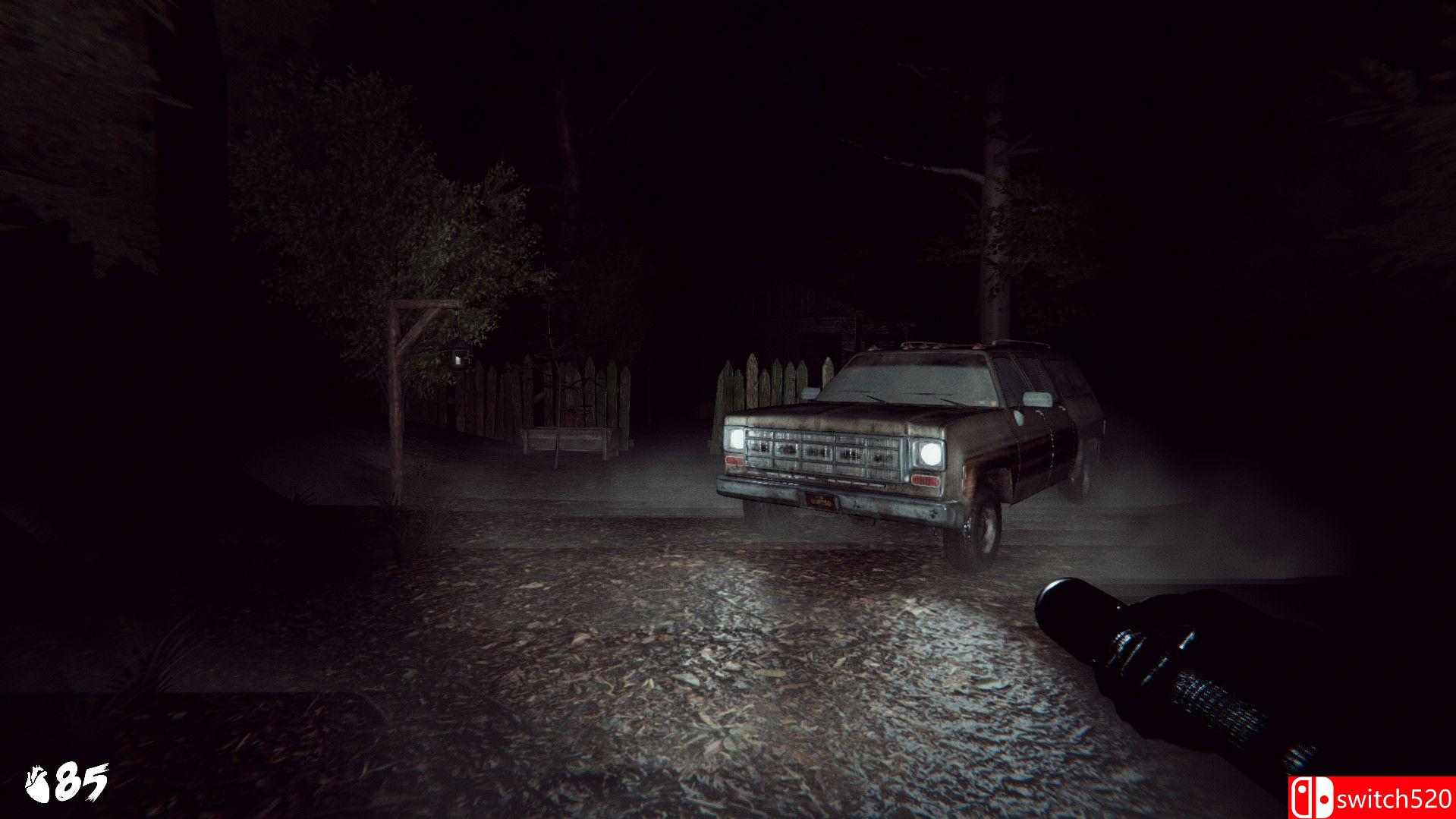 《幽灵之血》游戏截图4