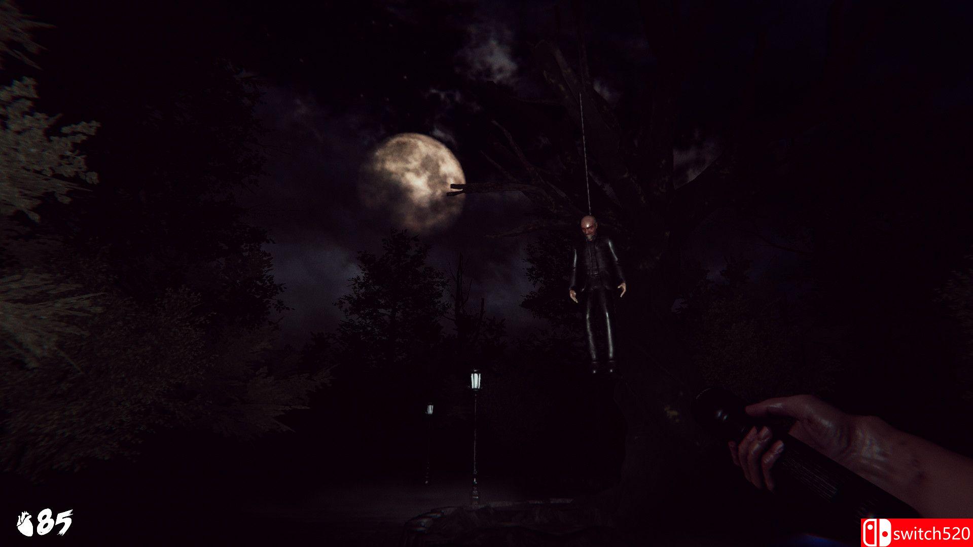 《幽灵之血》游戏截图3