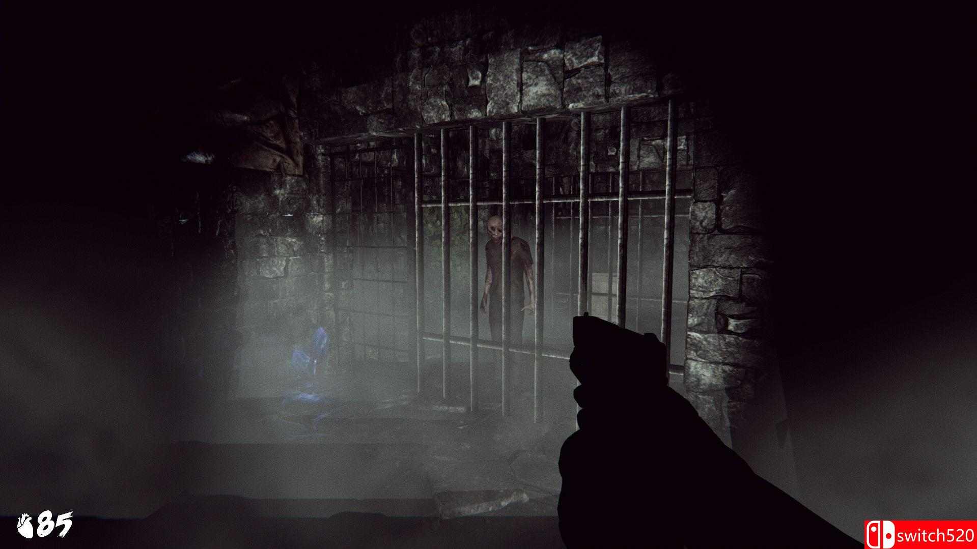 《幽灵之血》游戏截图5