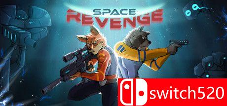 《太空复仇（Space Revenge）》游戏主图