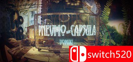 《普涅夫莫卡普莱卡：多米基》游戏主图