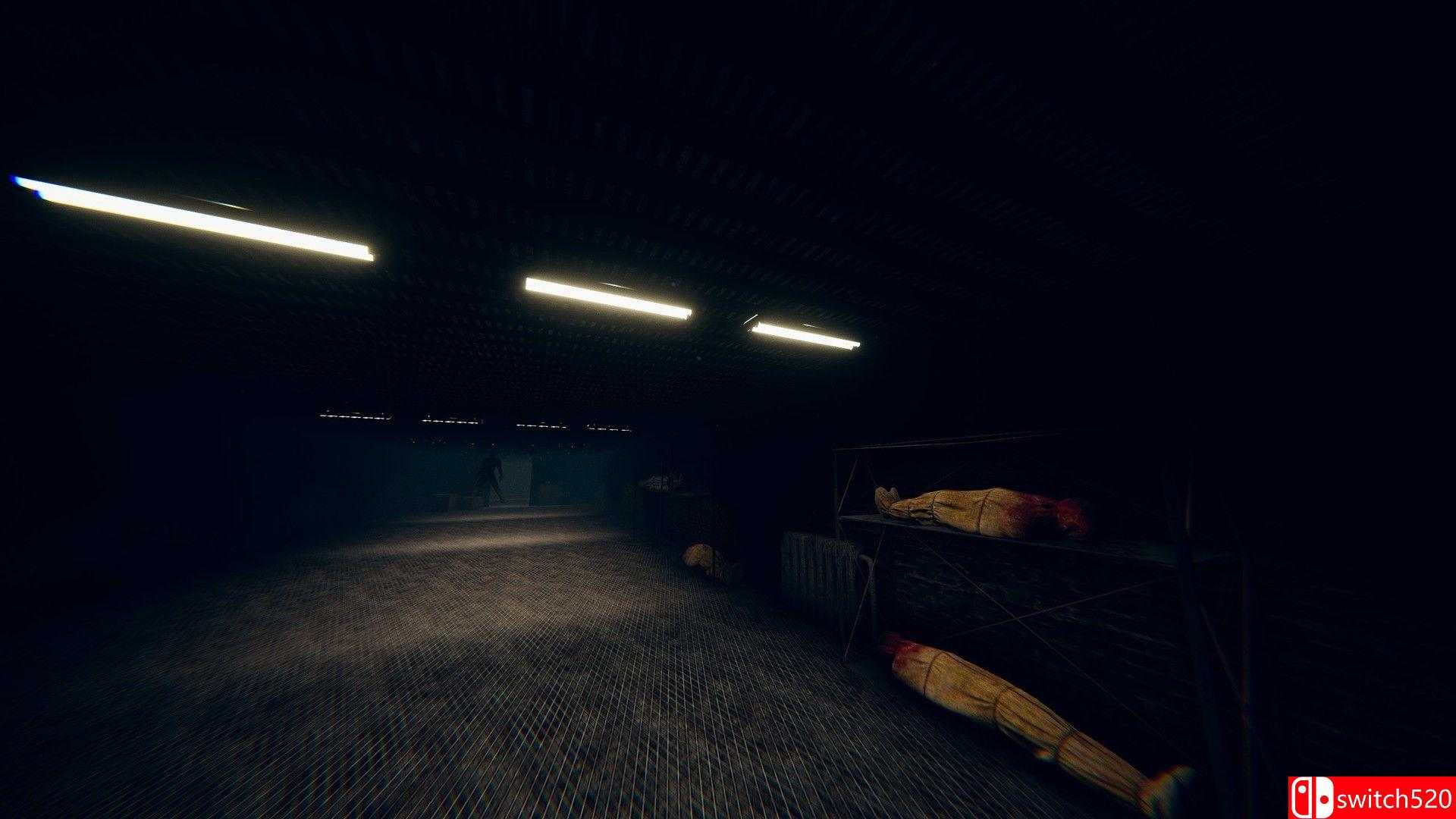 《灭绝》游戏截图5