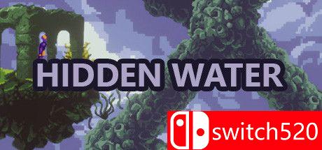 《隐藏的水（Hidden Water）》官方中文 DARKZER0硬盘版封面图