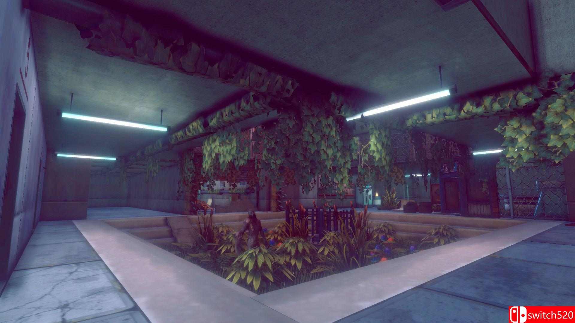 Connection Screenshot 2