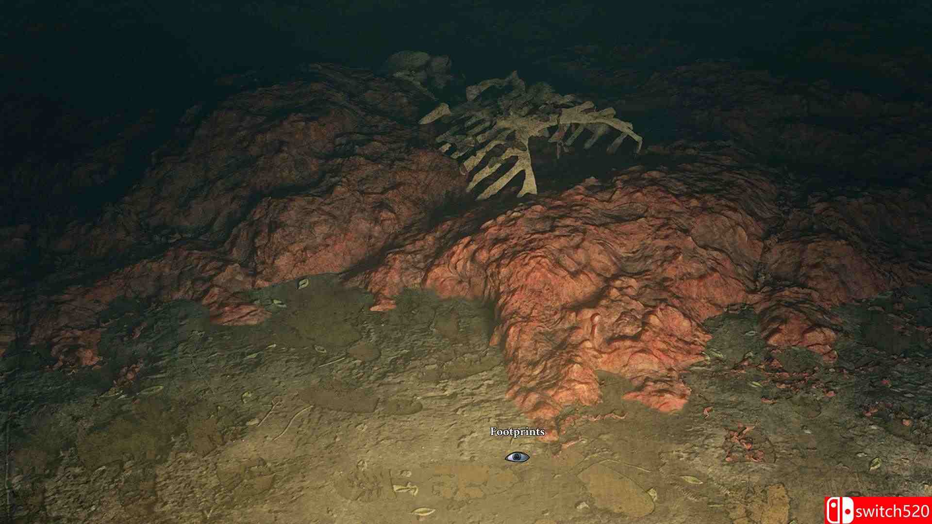 《神圣卡塔尔》游戏截图4