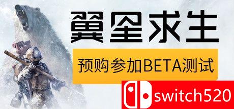 《翼星求生（ICARUS）》游戏封面