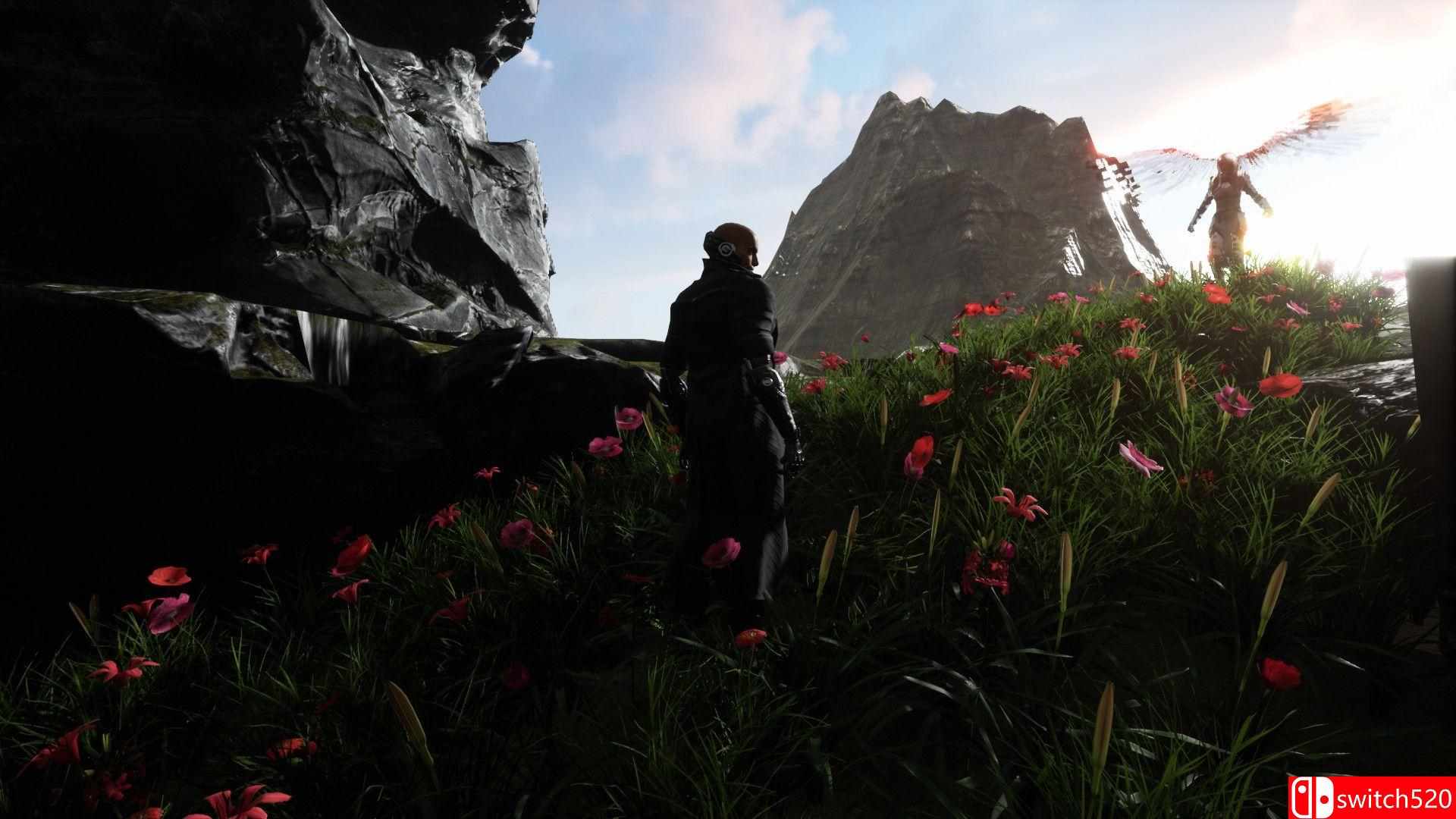 《神圣入侵》游戏截图4