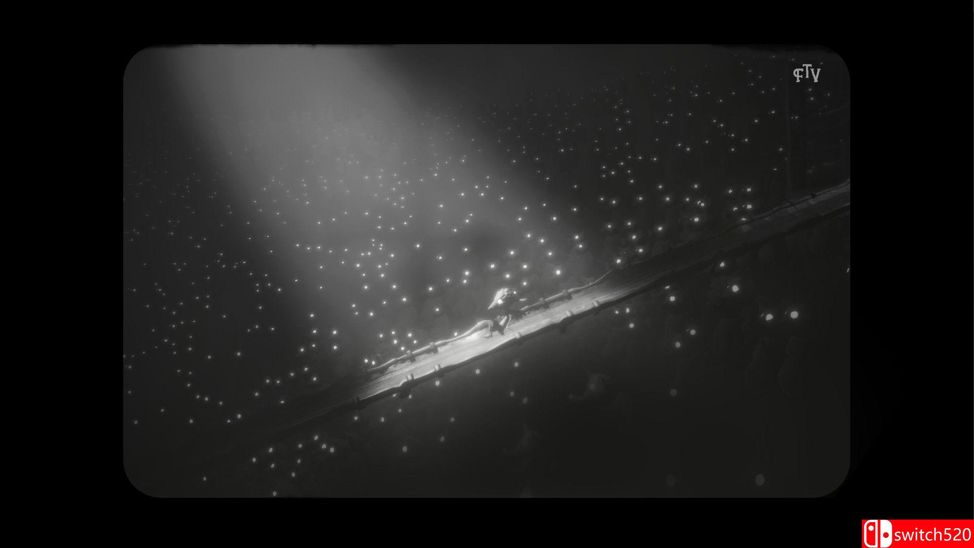 《白影（White Shadows）》游戏截图1