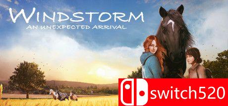 《风暴：意外的到来》游戏主图