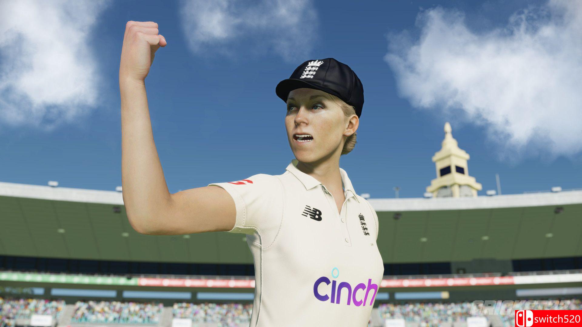 板球22游戏截图4