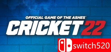 板球22游戏封面