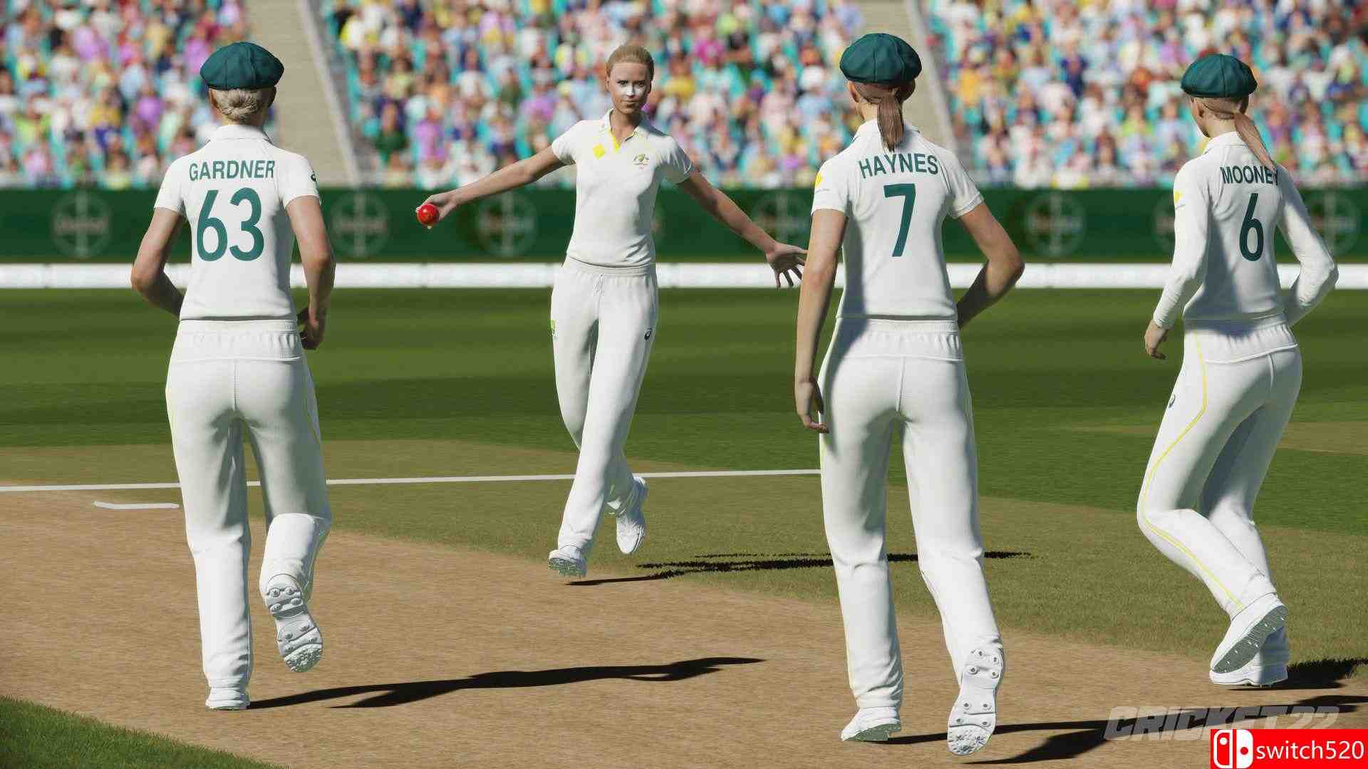 板球22游戏截图5