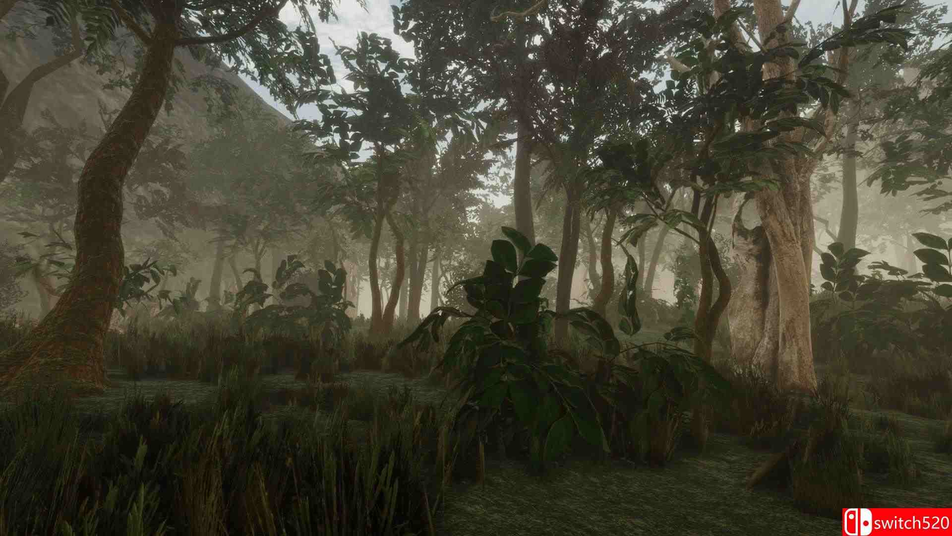 《森林（Forest）》游戏截图3