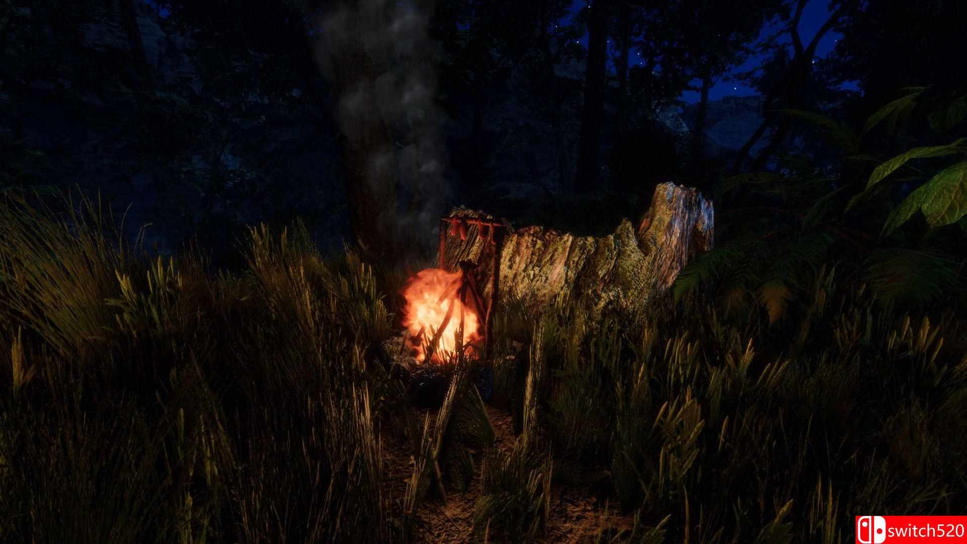 《森林（Forest）》游戏截图1