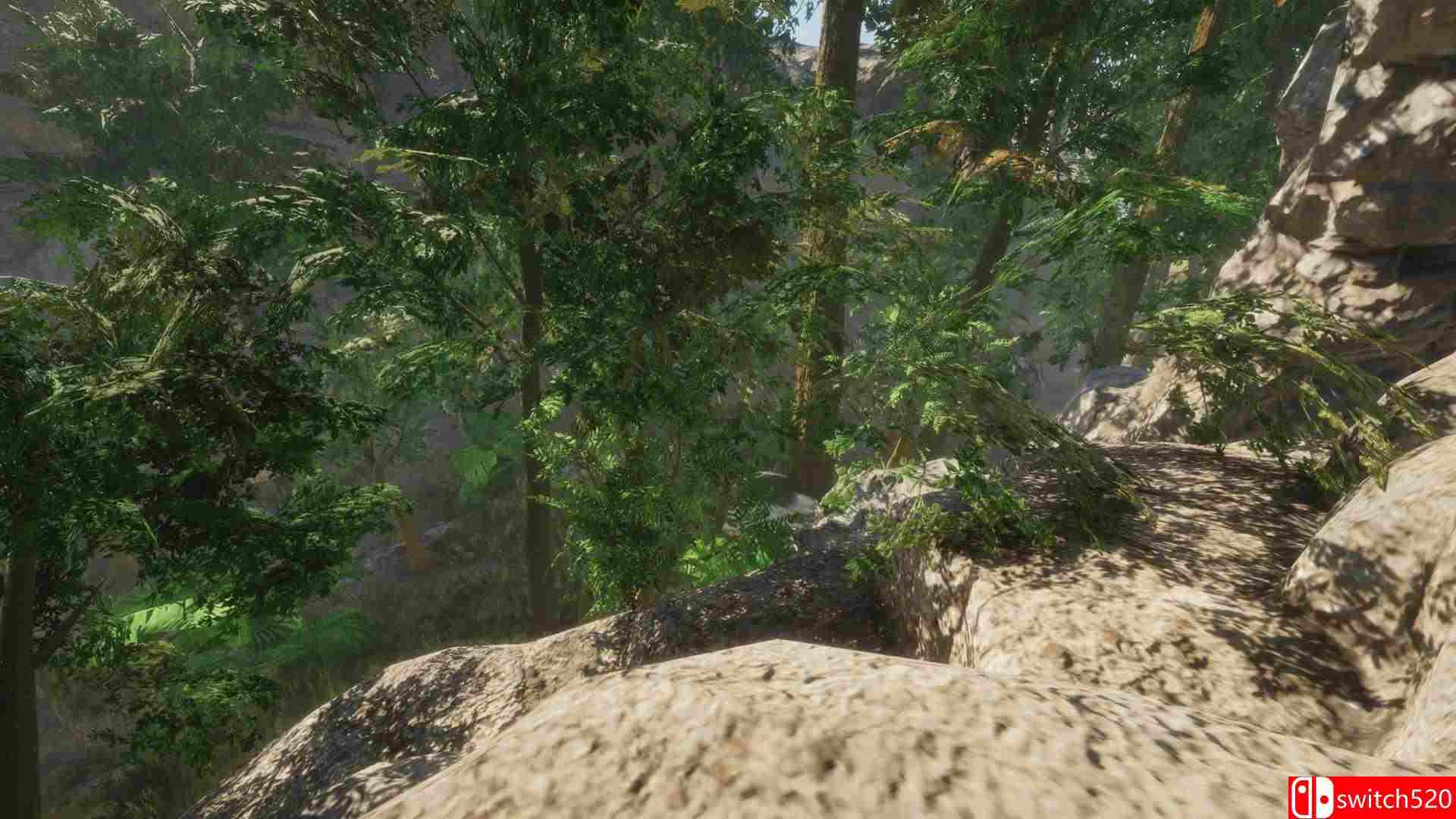 《森林（Forest）》游戏截图5