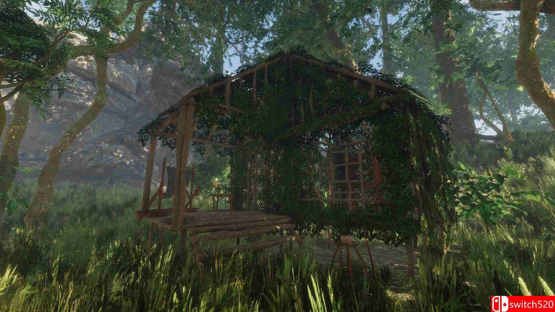 《森林（Forest）》游戏截图4