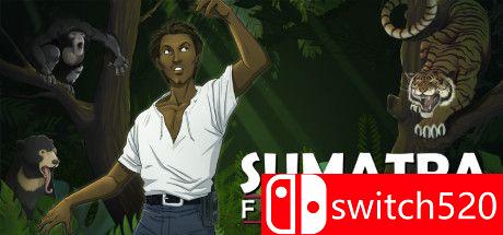 《苏门答腊：严迪的命运（Sumatra: Fate of Yandi）》游戏封面