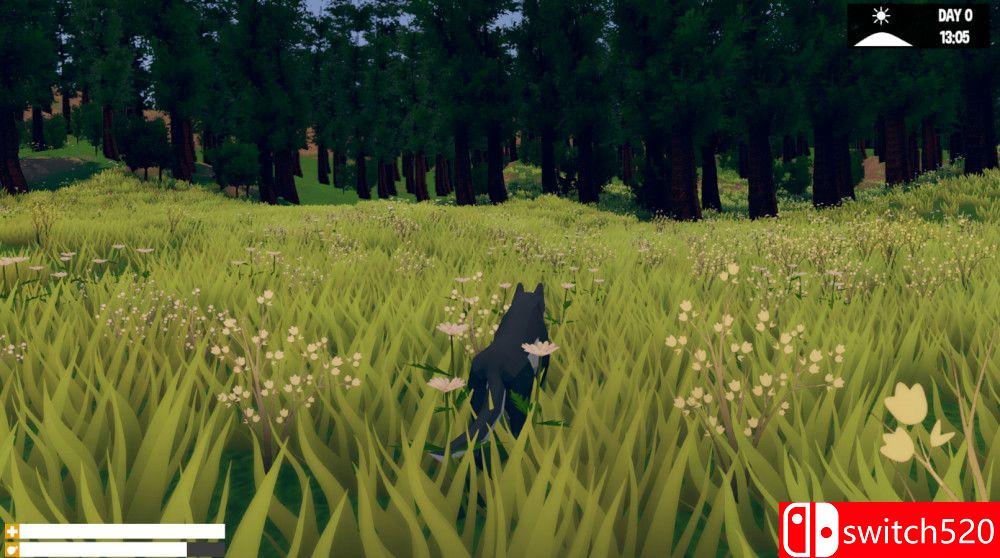 《野狼》游戏截图2