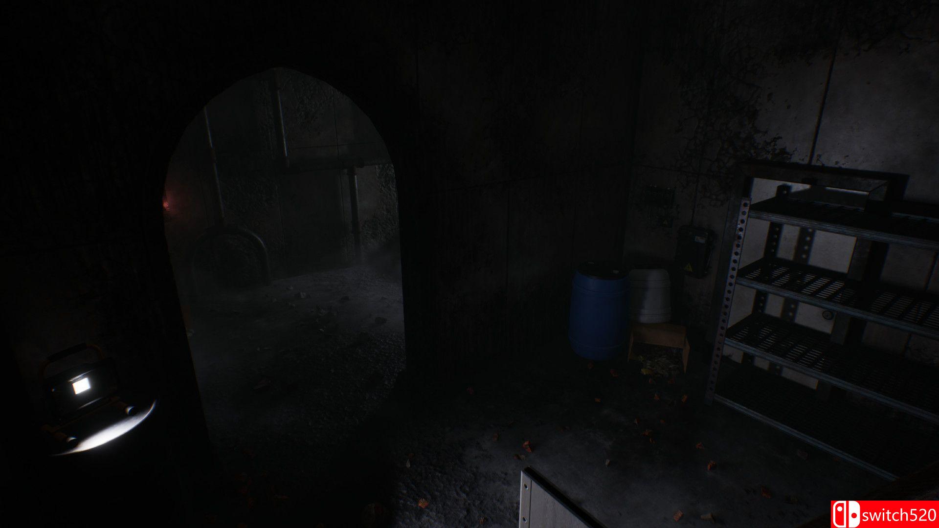 《黑暗之中》游戏截图3