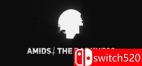 《黑暗之中（Amidst The Darkness）》游戏封面