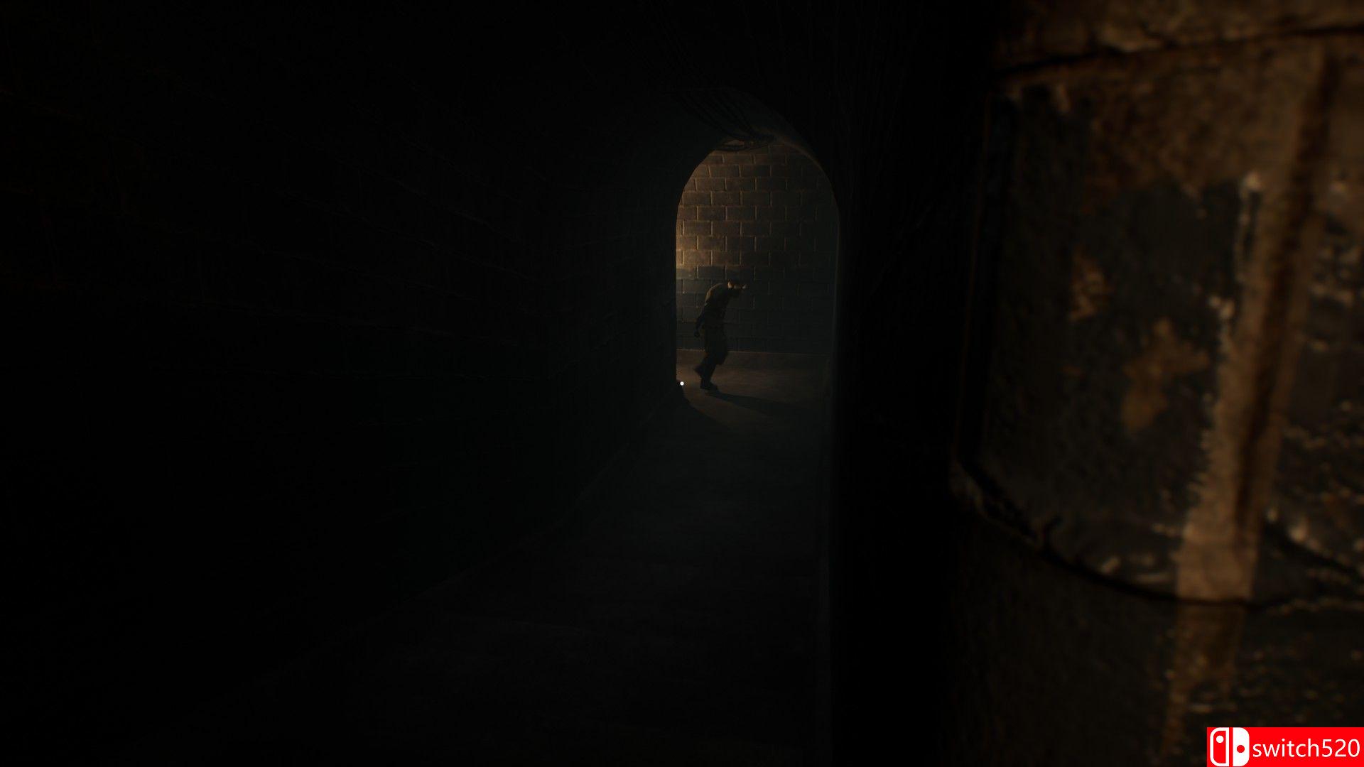 《黑暗之中》游戏截图4