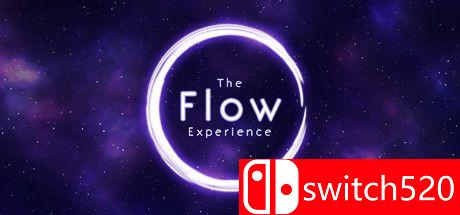 《流动体验》游戏主图