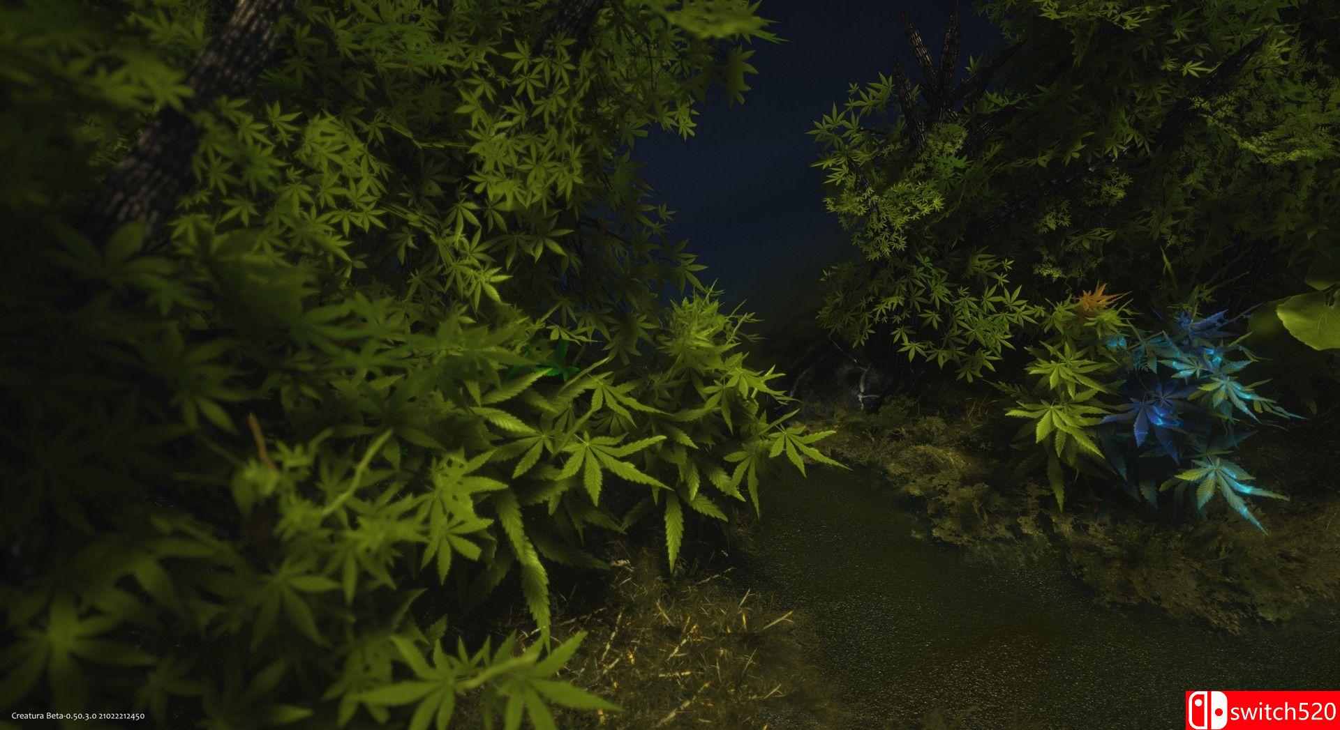 Creatura游戏截图1