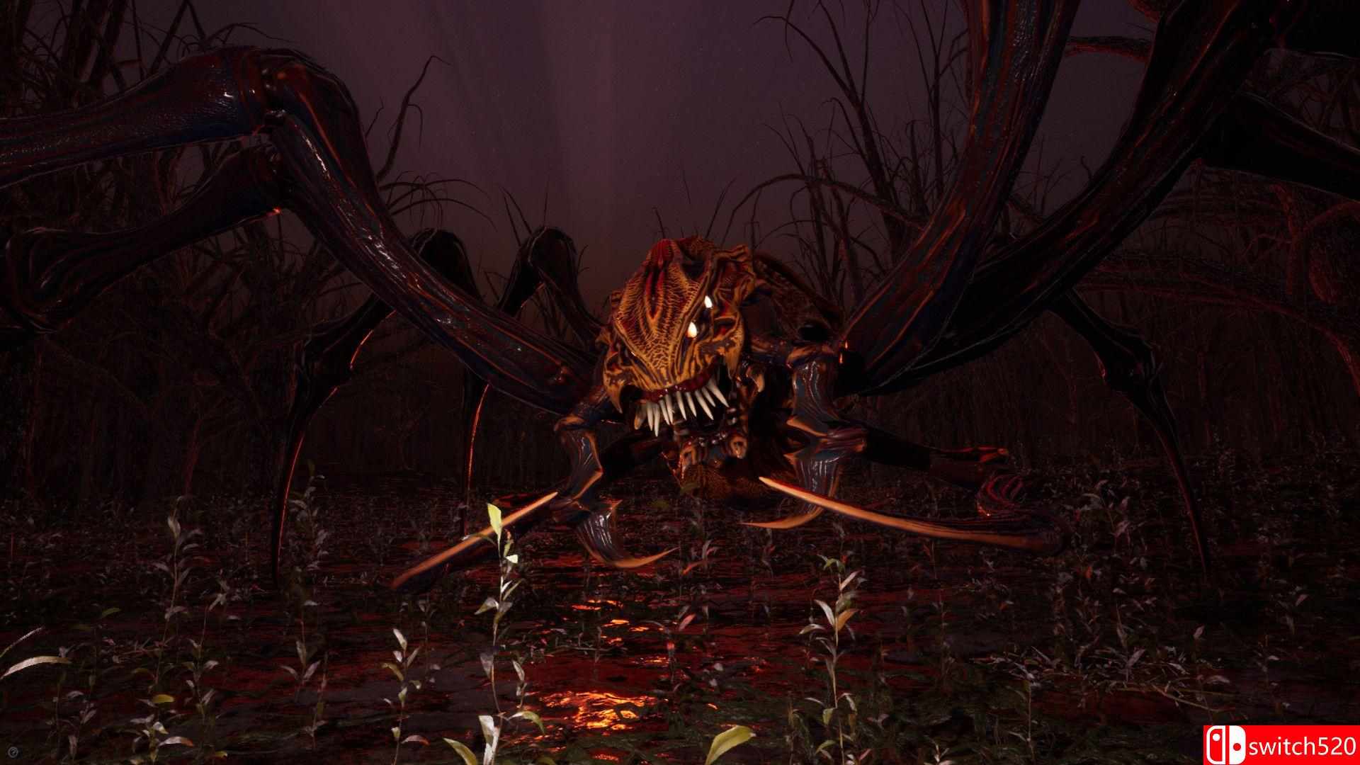 《古之岛》游戏截图5