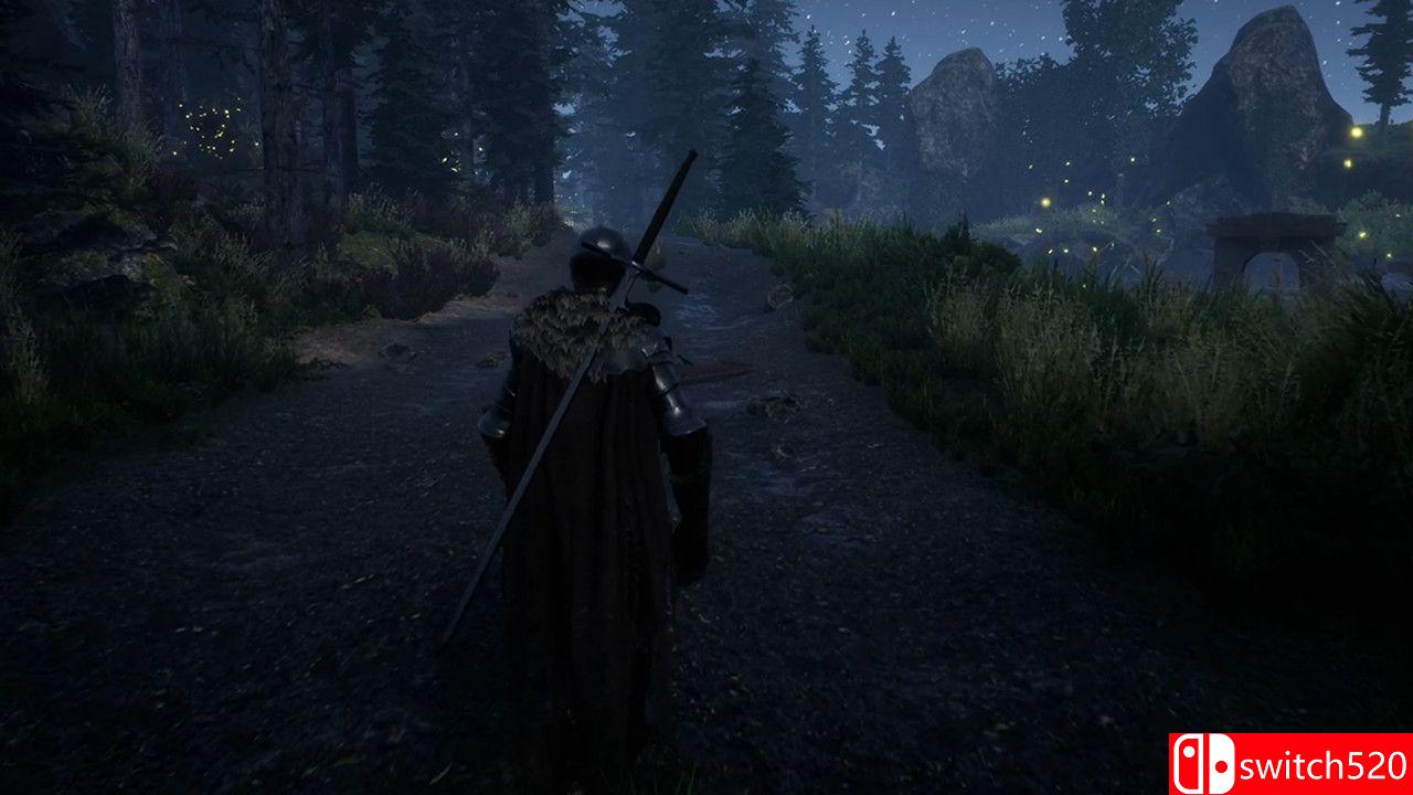 《孤独骑士》游戏截图2