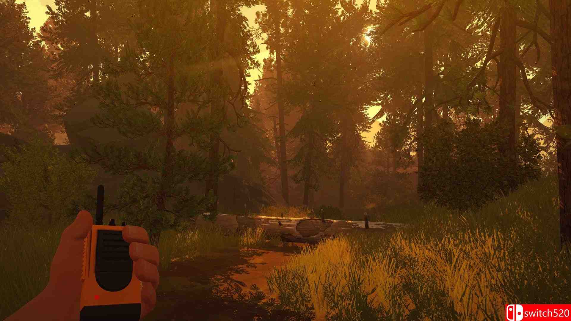 《看火人（Firewatch）》游戏截图3