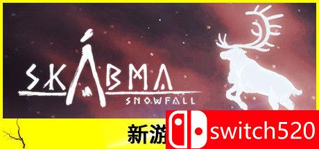 《永夜：雪落》游戏封面