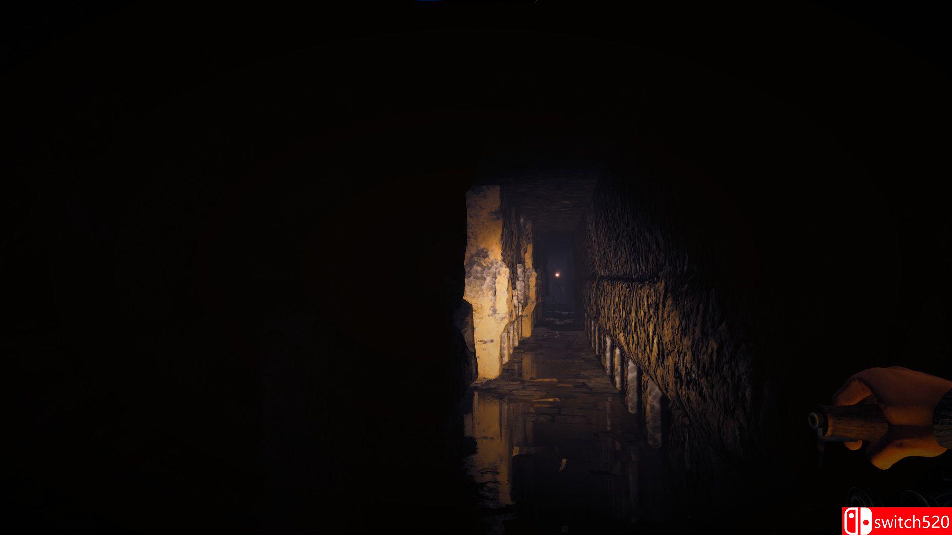 《肖像：下降》游戏截图5