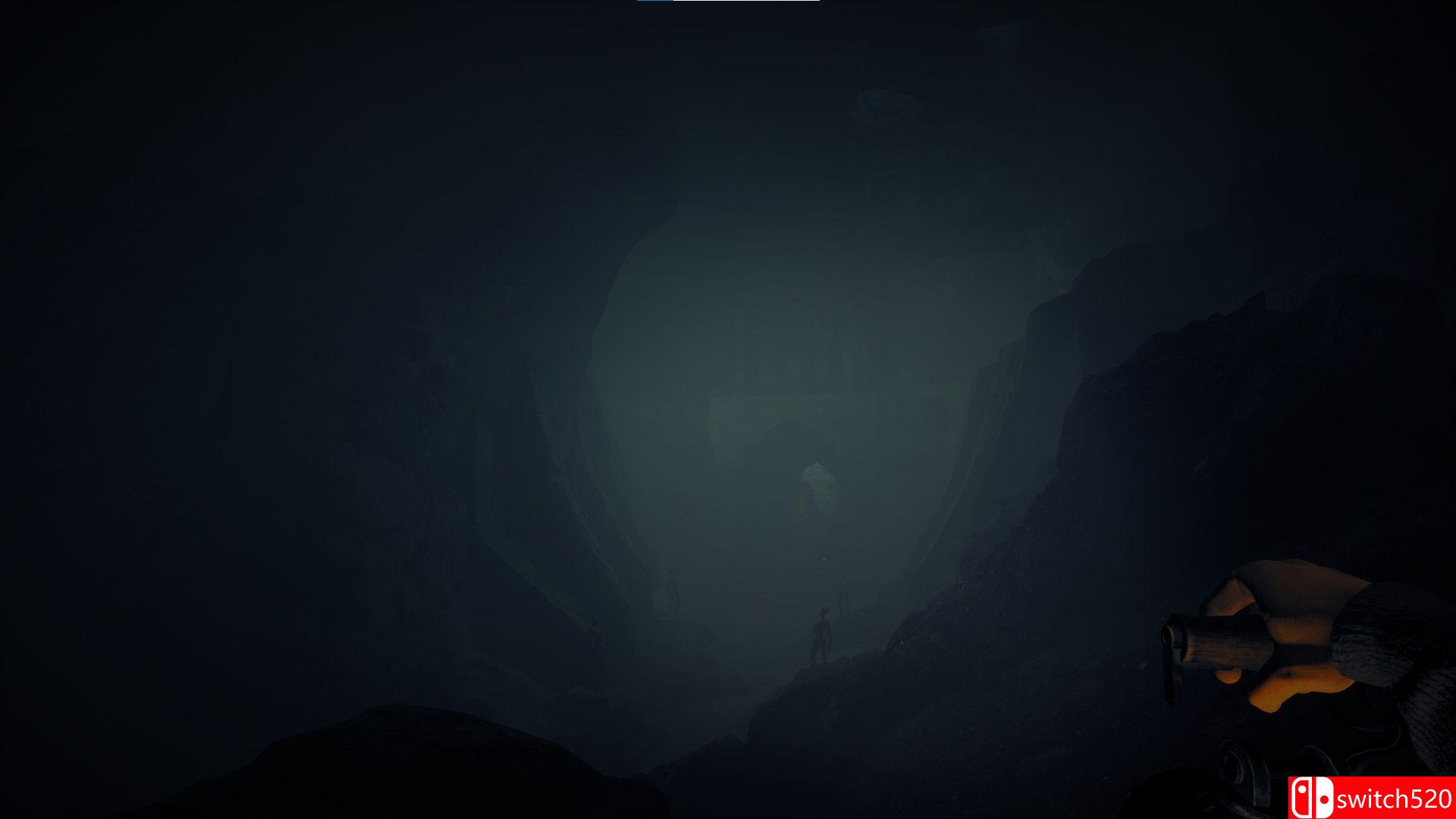 《肖像：下降》游戏截图2