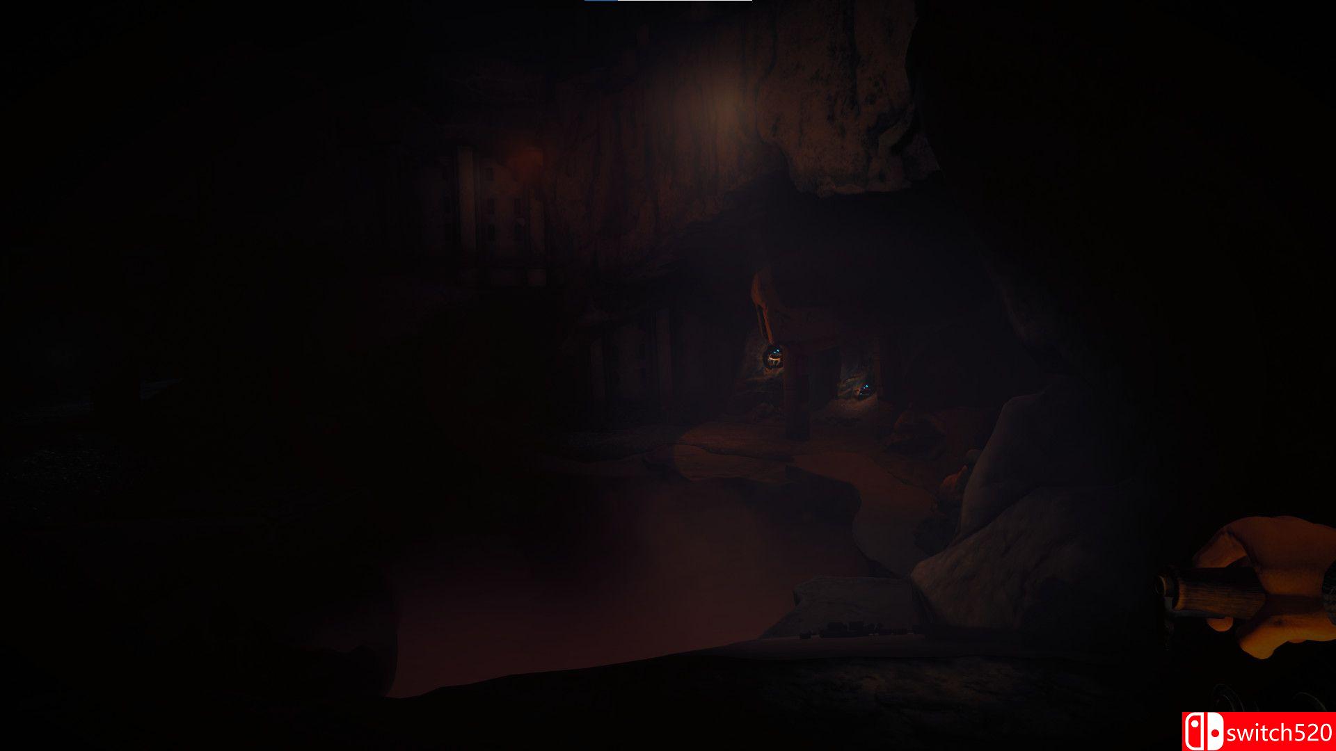 《肖像：下降》游戏截图3