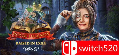 皇家传奇：流放中长大游戏主图