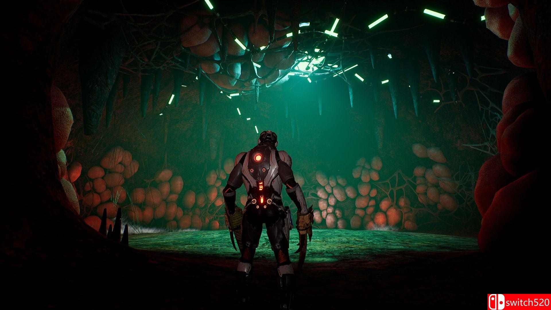 《杜蒙（Dolmen）》游戏截图2