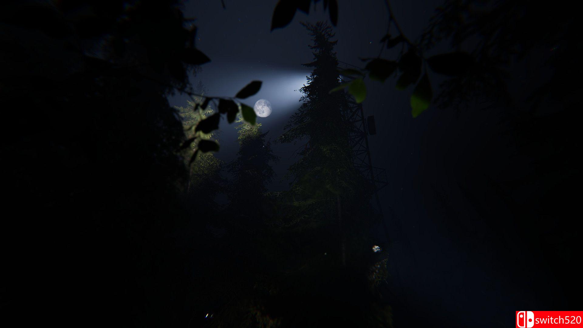 《泰加》游戏截图3