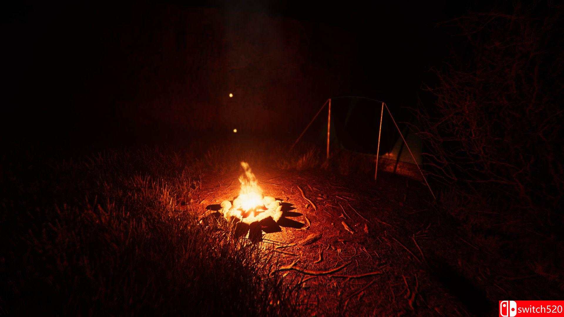 《泰加》游戏截图1