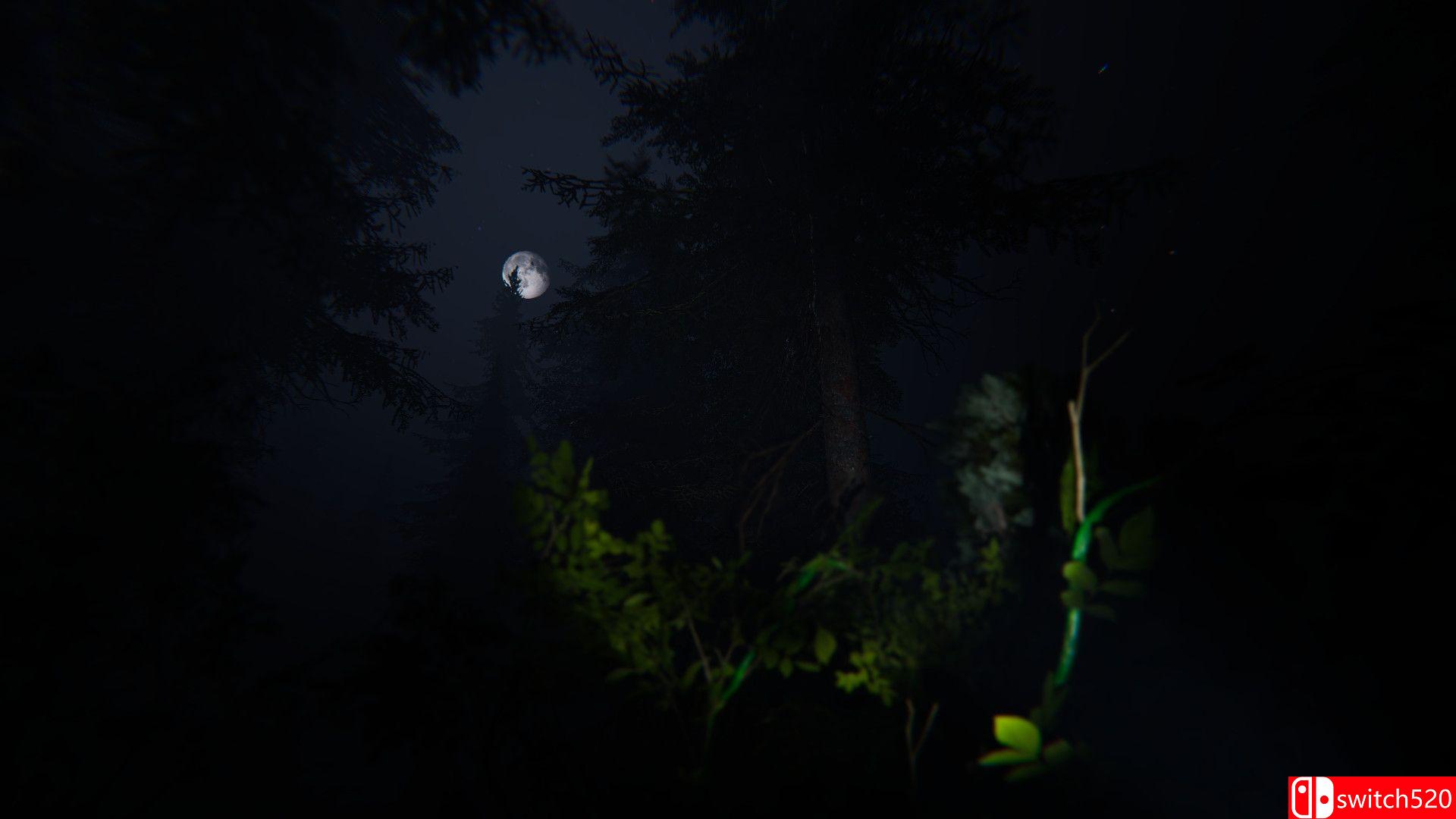 《泰加》游戏截图4