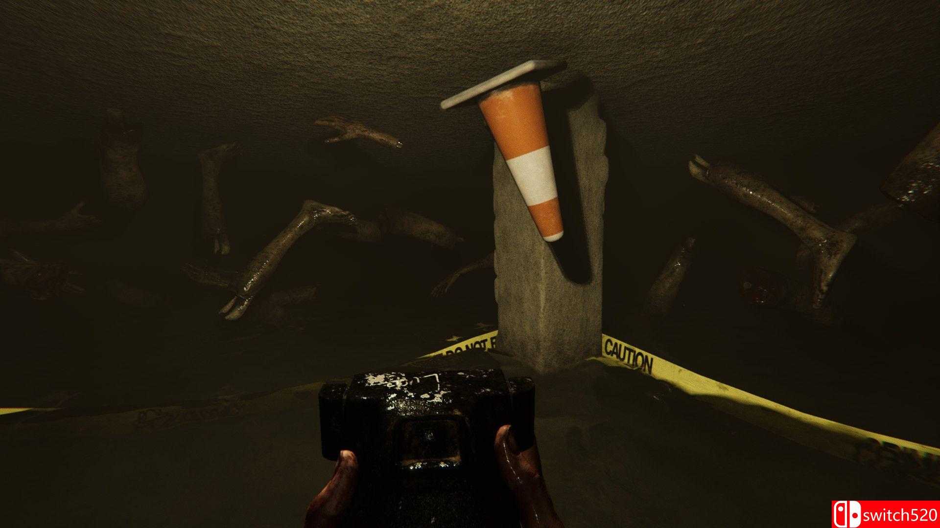 《麦迪逊》游戏截图3