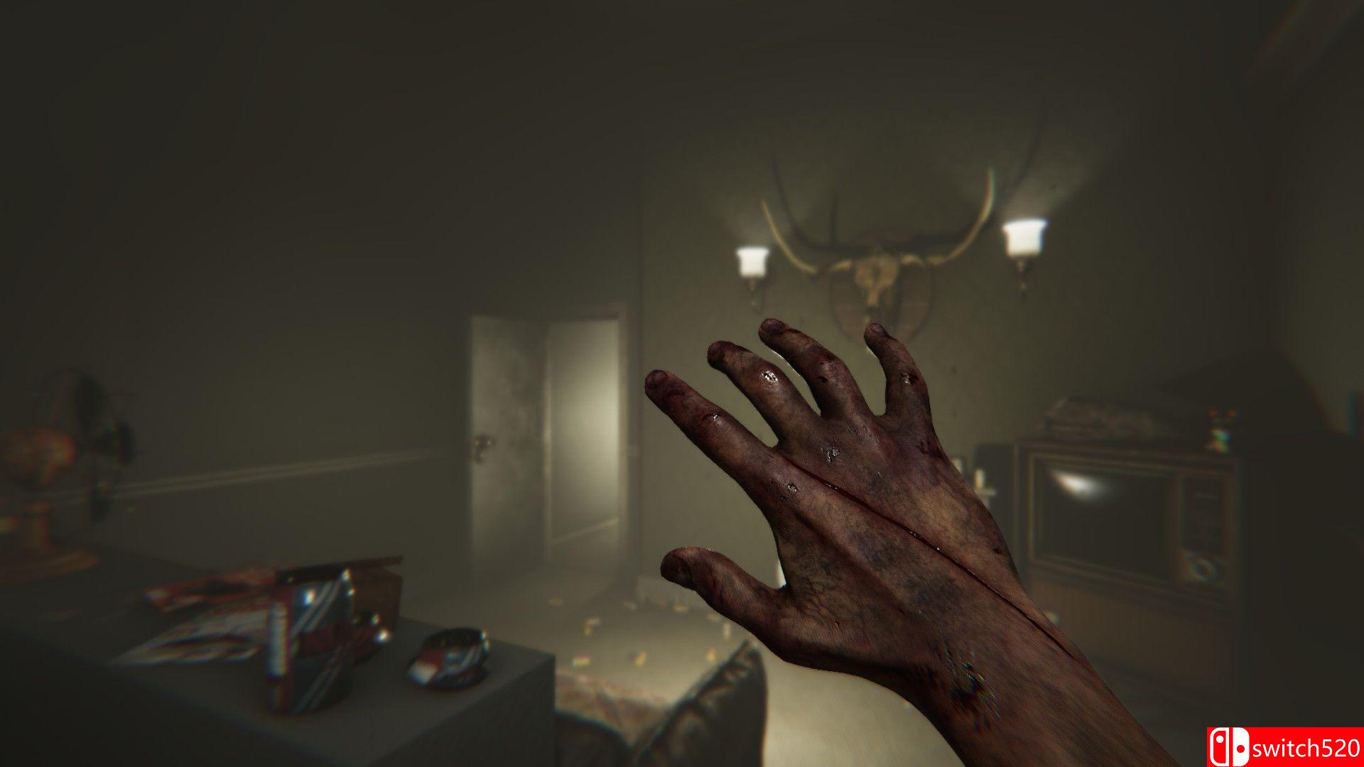 《麦迪逊》游戏截图1