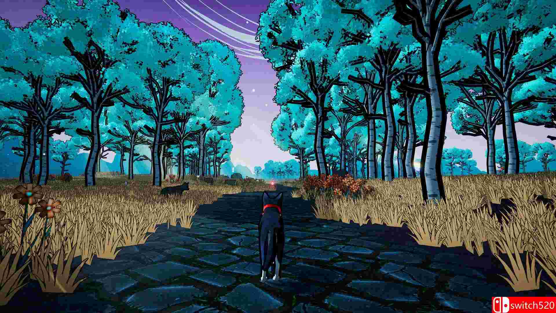 《哈雷之梦》游戏截图2