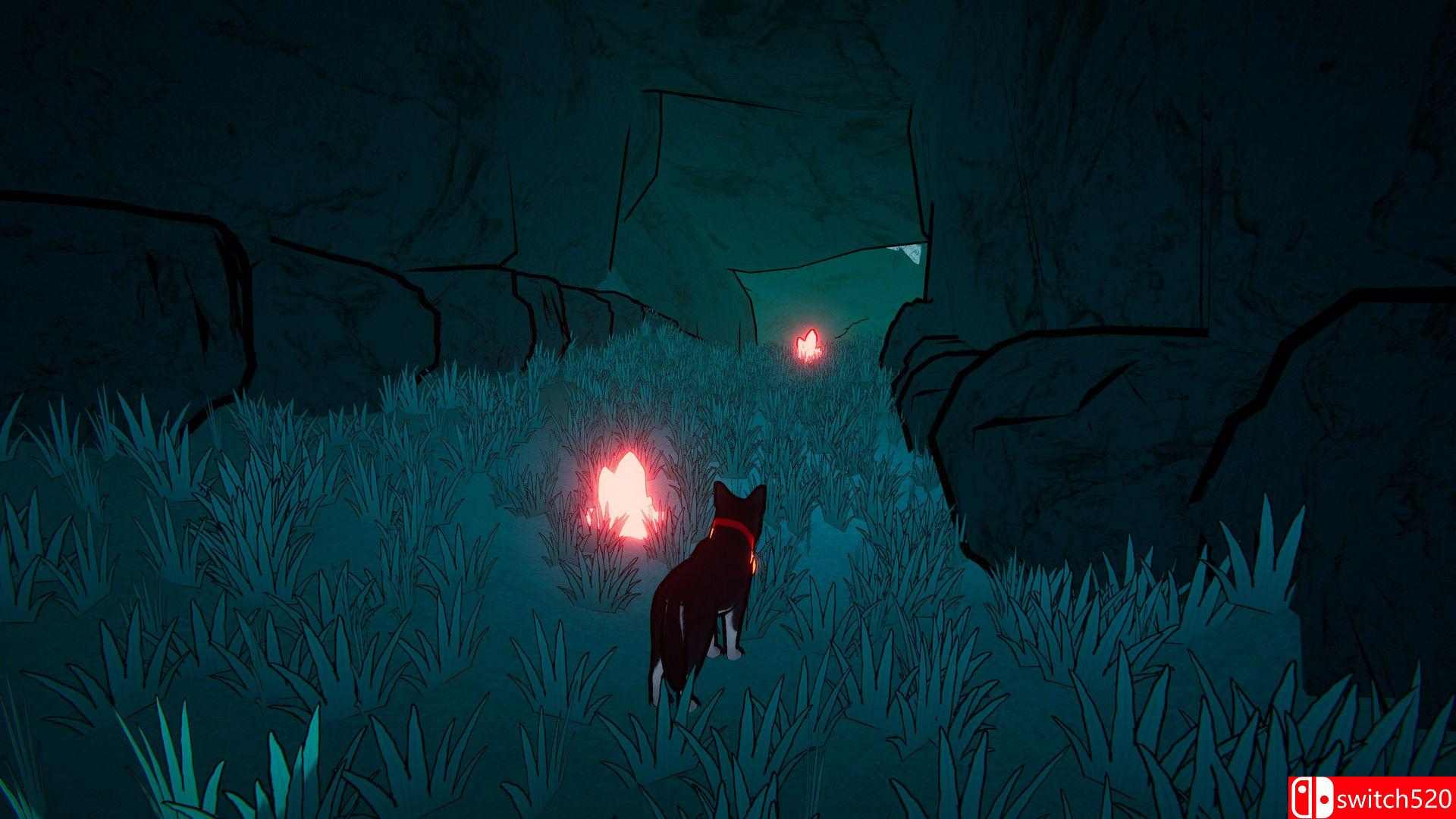 《哈雷之梦》游戏截图3