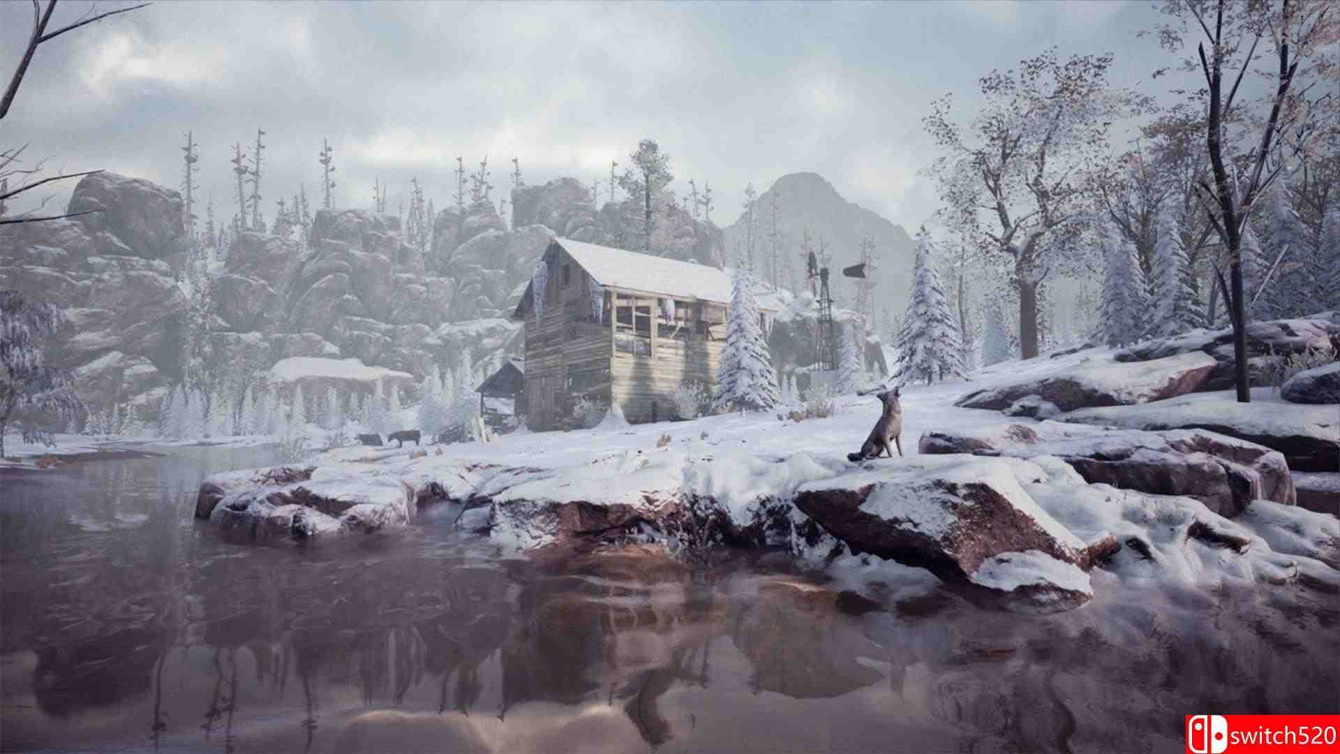 适雪植物游戏截图2