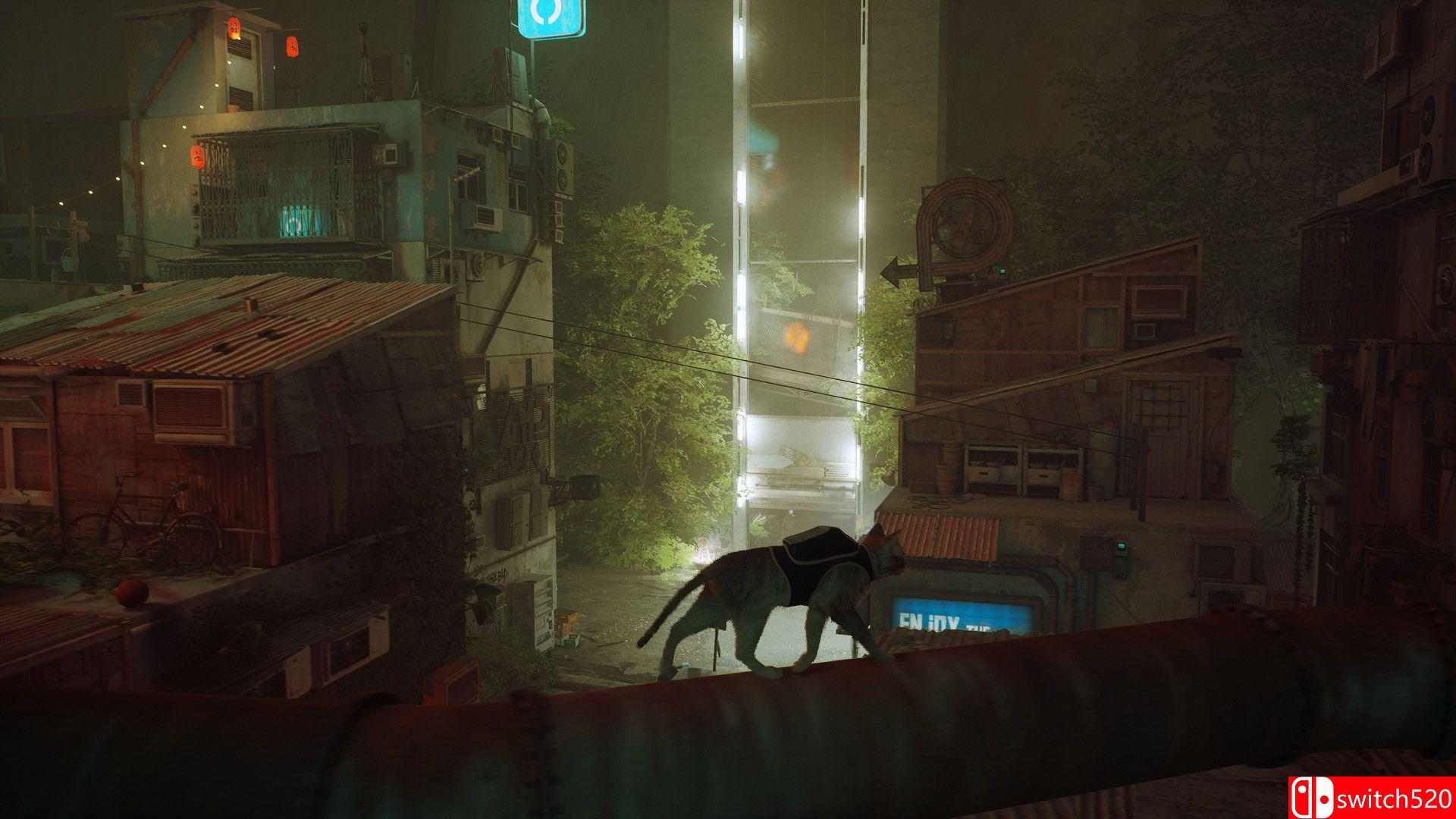 《迷失（Stray）》游戏截图2