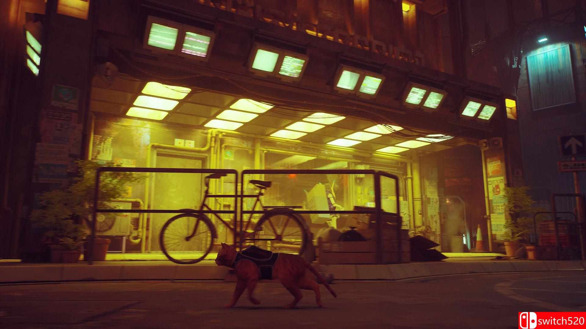 《迷失（Stray）》游戏截图4