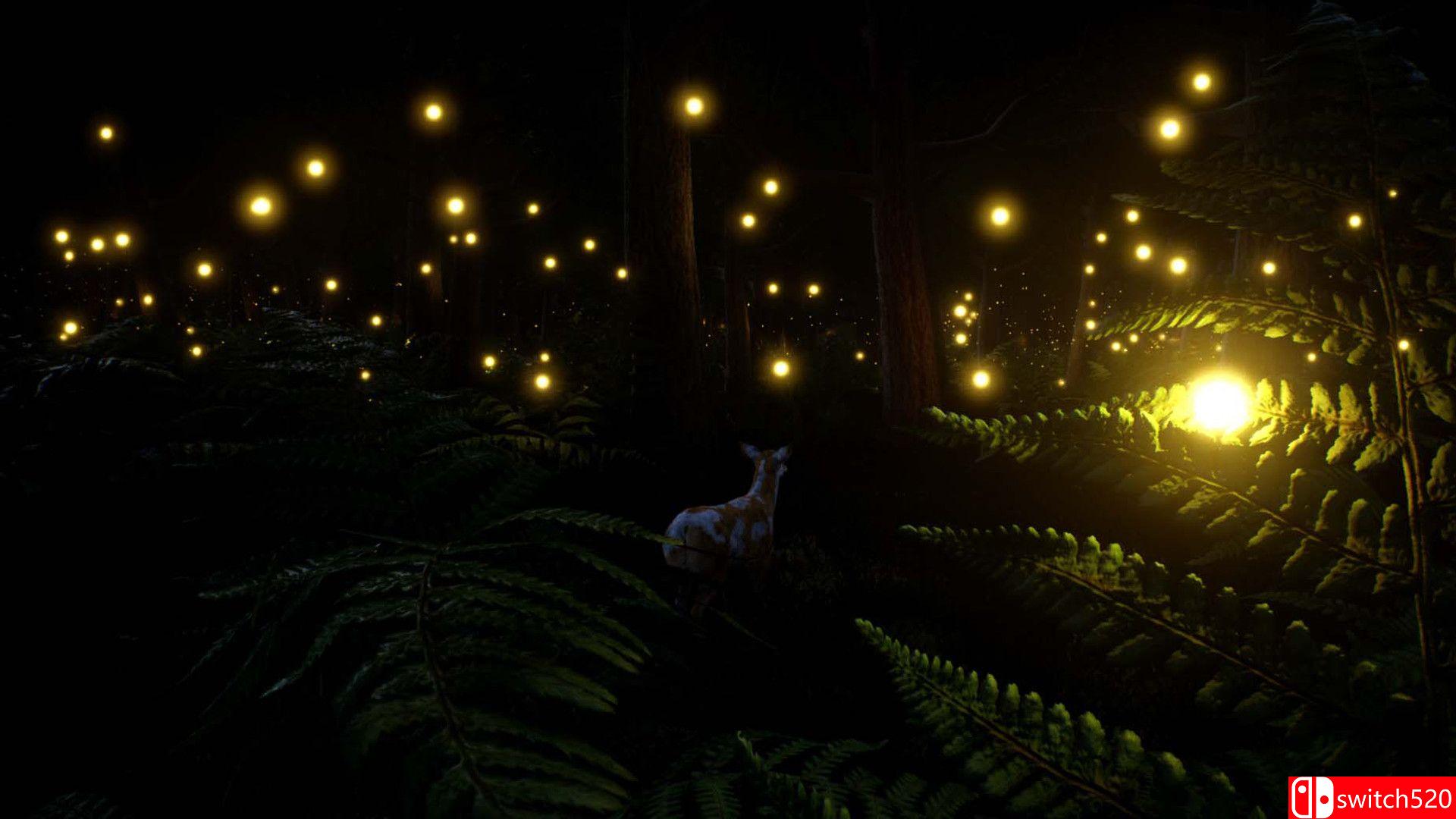 《鹿之旅》游戏截图3