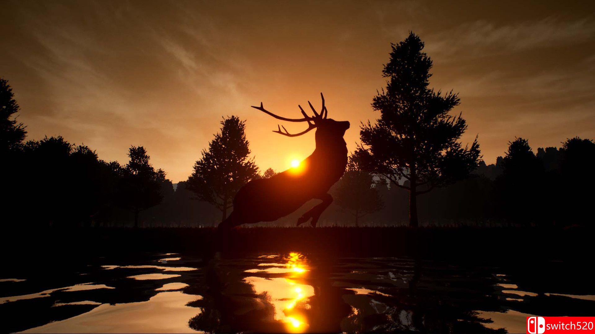 《鹿之旅》游戏截图1