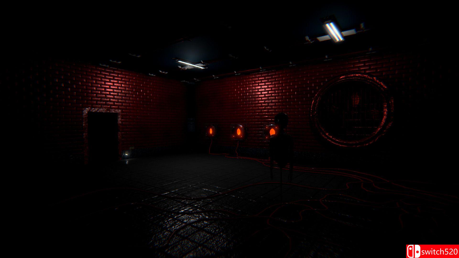 《蒂莫雷多》游戏截图1